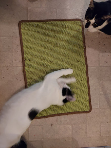 Natural Sisal Cat Scratching Mat